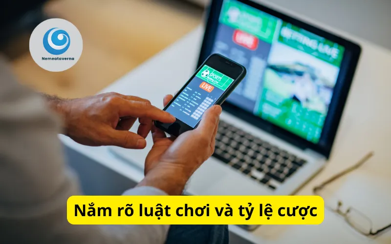 Nắm rõ luật chơi và tỷ lệ cược