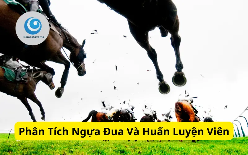 Phân Tích Ngựa Đua Và Huấn Luyện Viên