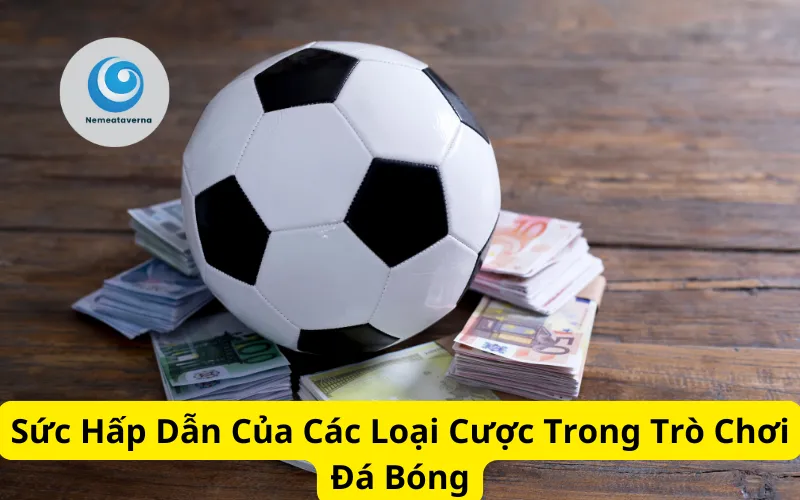 Sức Hấp Dẫn Của Các Loại Cược Trong Trò Chơi Đá Bóng