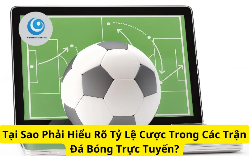 Tại Sao Phải Hiểu Rõ Tỷ Lệ Cược Trong Các Trận Đá Bóng Trực Tuyến?