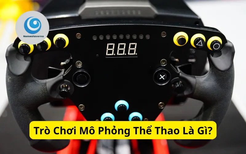 Trò Chơi Mô Phỏng Thể Thao Là Gì?