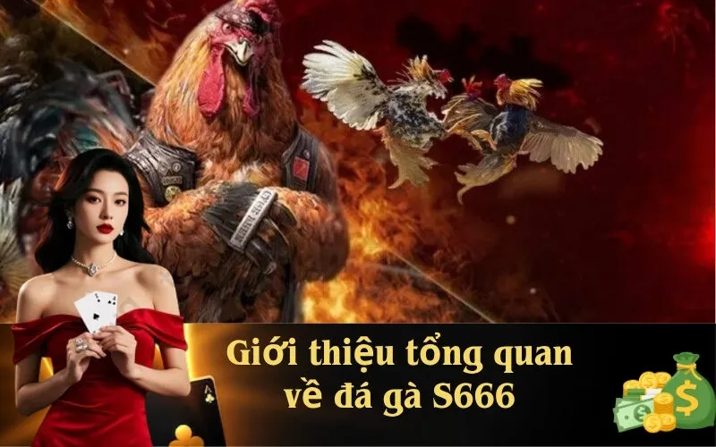 Giới thiệu tổng quan về đá gà S666