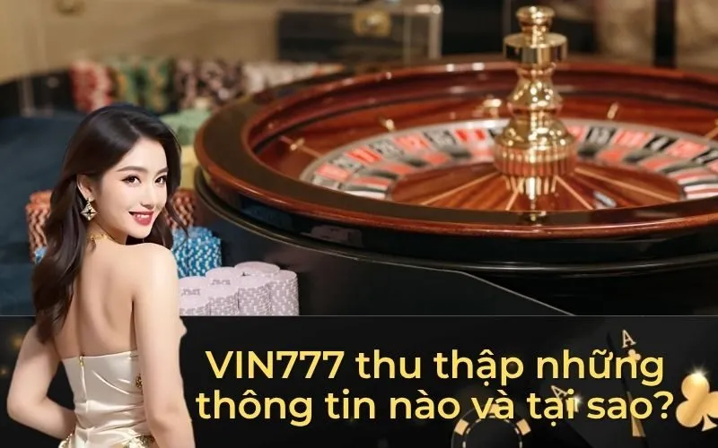 VIN777 thu thập những thông tin nào và tại sao?